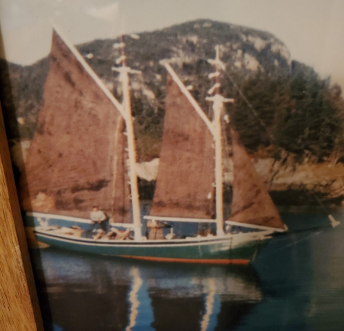 Owned by Albert Warren Sr. from around 1924, it was named after his daughter Winnie. When he rebuilt the boat in 1934, buying most of the supplies from Freeman Wareham in Spencer’s Cove, he added Freeman’s newborn son Eric to the boat’s name. Eric Bolt bought the Winnie and Eric around 1942 and fished off Merasheen with his father Sam and a shareman for about 25 years.